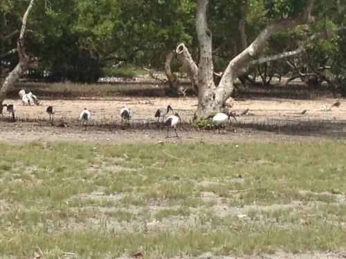Lodge Eagle Camp Mida Creek
