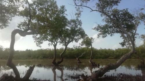 Lodge Eagle Camp Mida Creek