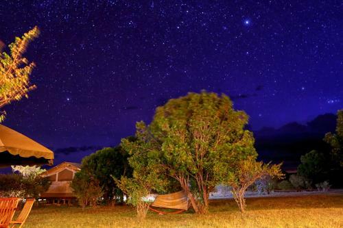 Loyk Mara Luxury Camp