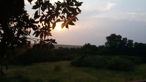 Loyk Mara Luxury Camp