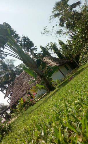Cooke Villa