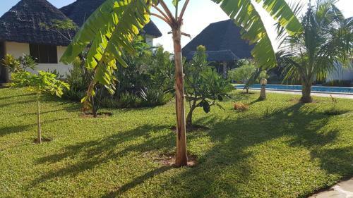 Bed & Breakfast Nyumba Nicole