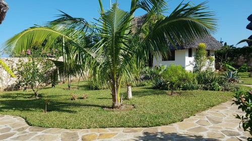 Bed & Breakfast Nyumba Nicole