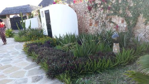 Bed & Breakfast Nyumba Nicole