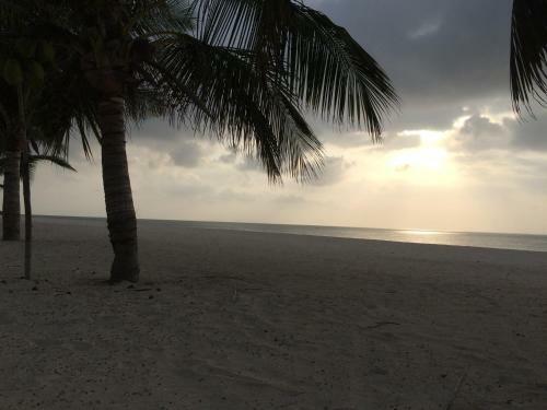 Hotel Life Resort St. Thomas Royal Palm