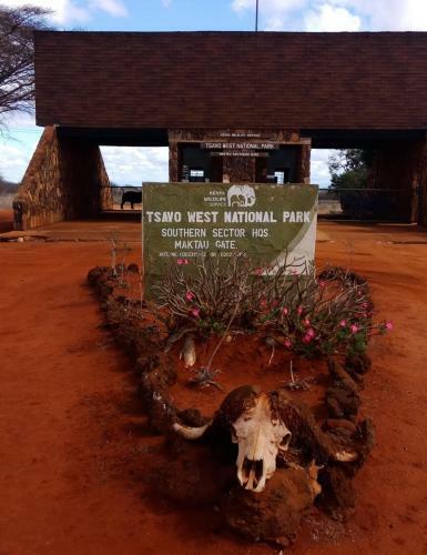 Hotel Lake Jipe Safari Camp
