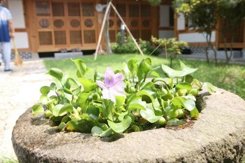Hostal Sarangnamoo Hanok Guesthouse