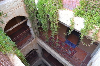 Riad Rose Noire