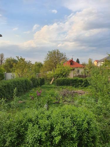 Alatau Hostel