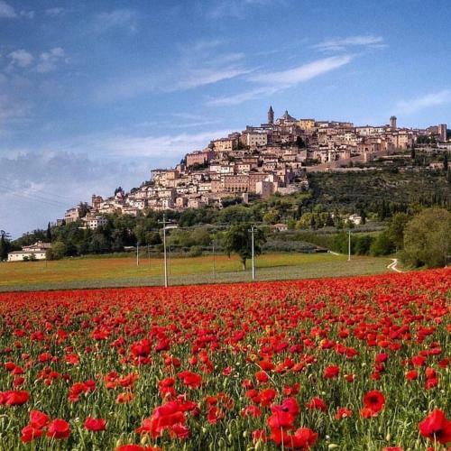 Agroturismo Setterhouseagrihotel