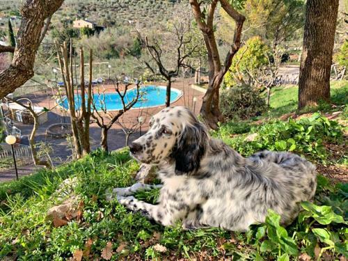 Agroturismo Setterhouseagrihotel
