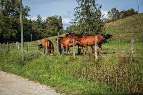 Agroturismo Foresteria Borgoluce