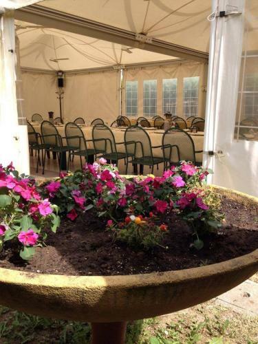 Hotel Albergo Escondido