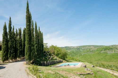 Paradiso Tra Le Vigne