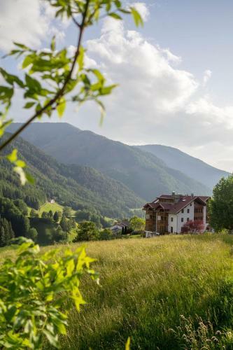 Hostal Villa Messner