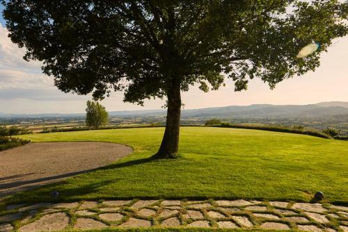 Battifolle-ruscello-poggiola Villa Sleeps 8 Pool