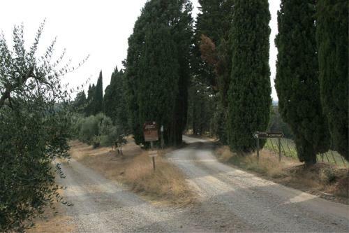 Pieve A Maiano Apartment Sleeps 4 Pool Air Con Wifi