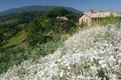 Agroturismo Casa Rosa