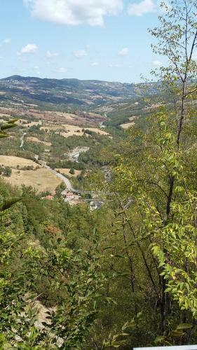 Ponte Dei Leoni
