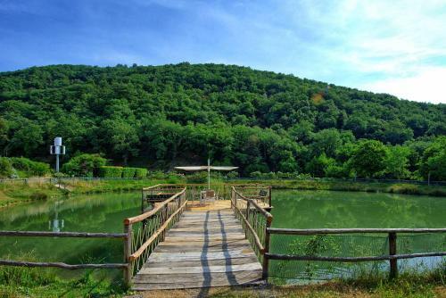 Agroturismo Montescalari