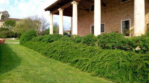 B&B Villa Trissino Rossi