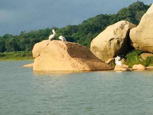 Hostal Charitha Rest
