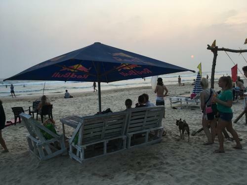 Hotel Shaka Surf Camp