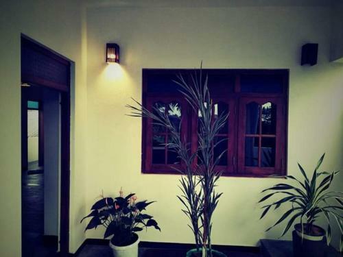 Dinu Villa