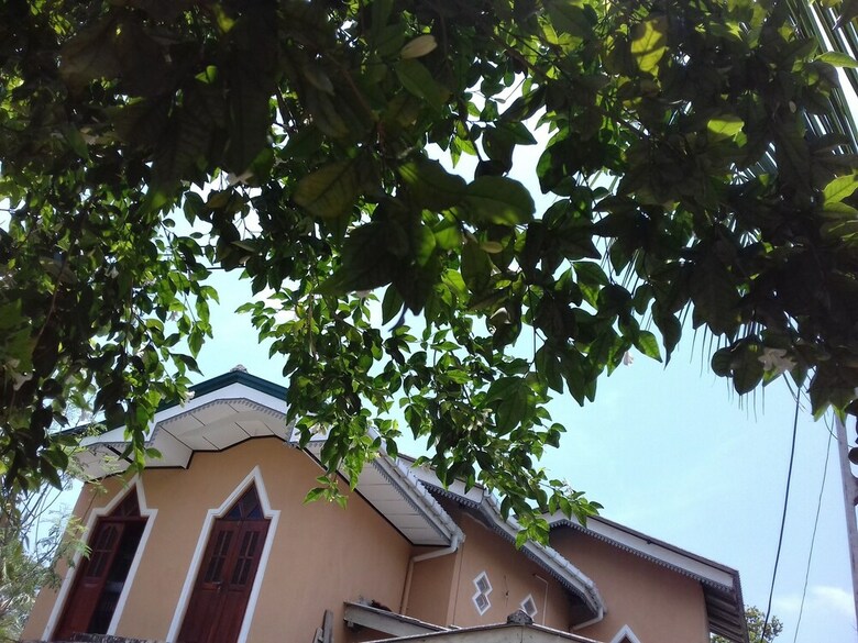 Posada Galle Paradise Inn