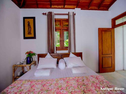 Villa Antique House