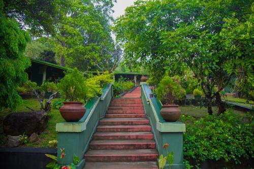Blue Magpie Lodge Sinharaja