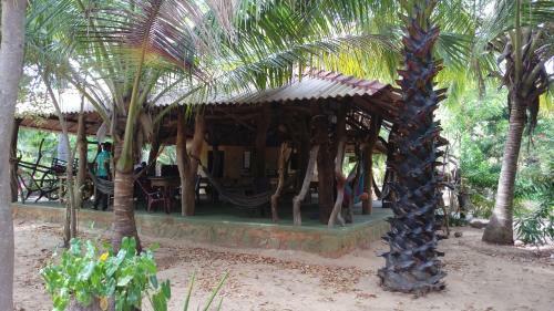 Hostal Light House Beach Hut