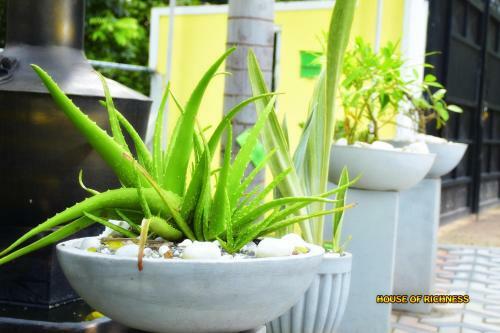 Hostal House Of Richness