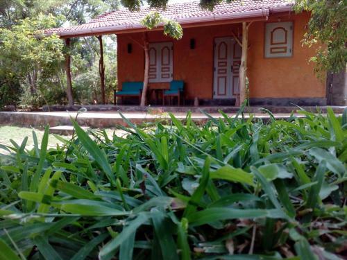 Lodge Taragala Chalets