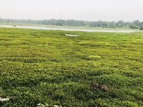 Hostal Wilpattu Guest