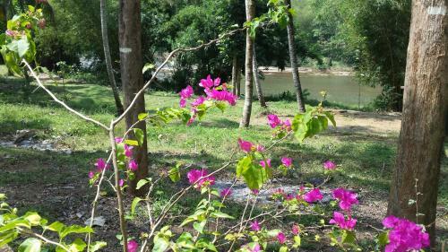 Hostal Nature's Hideout Holiday Home