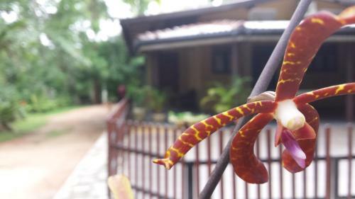Hostal Nature's Hideout Holiday Home