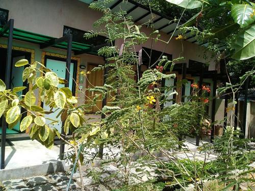 Hostal Haritha Holidays