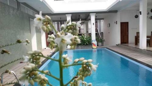 Hostal Hikka Boutique
