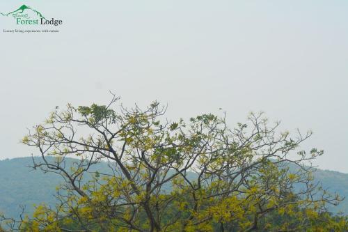 Hotel Arangala Forest Lodge