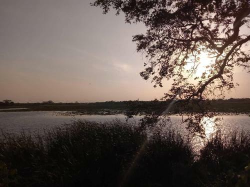 Octandra Eco Lodge