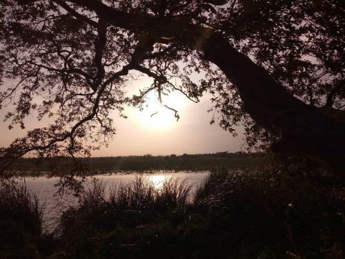 Octandra Eco Lodge