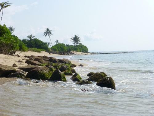 Hostal Bougain Villa Sea View