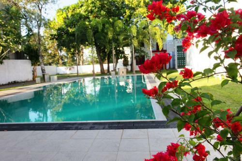 Villa Oak Residencies