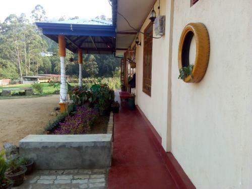 Hostal Vegetable Garden