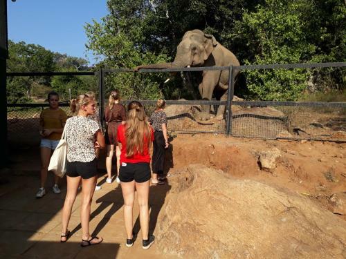 Leopard Spotting Camp - Yala