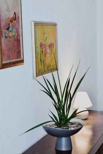 Apartamento Centro Spa Atostog? Namai