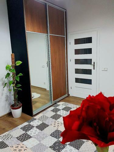 Nemuno Apartamentai