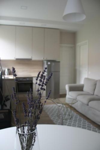 Smartflat & New Apartment City Center