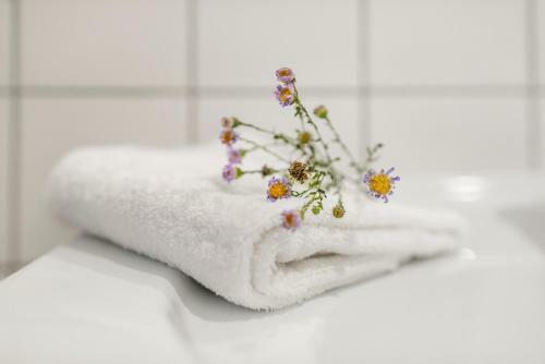 Apartamento Vila''radium''